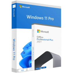 Комплект Windows 11 Pro + Office 2021 Pro+