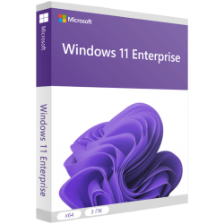 Windows 11 Enterprise для 3 ПК
