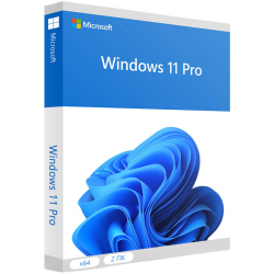 Windows 11 Pro для 2 ПК